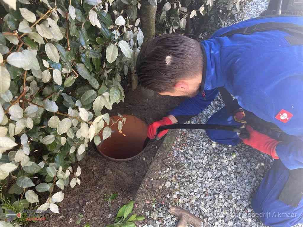 Rioolvliegjes Alkmaar Rioolvliegjes Alkmaar